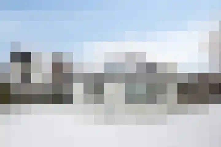 Janseniuslaan 4 Hulst foto 2