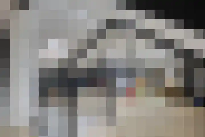 Janseniuslaan 4 Hulst thumbnail 25