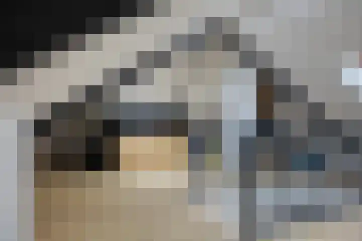 Janseniuslaan 4 Hulst thumbnail 26