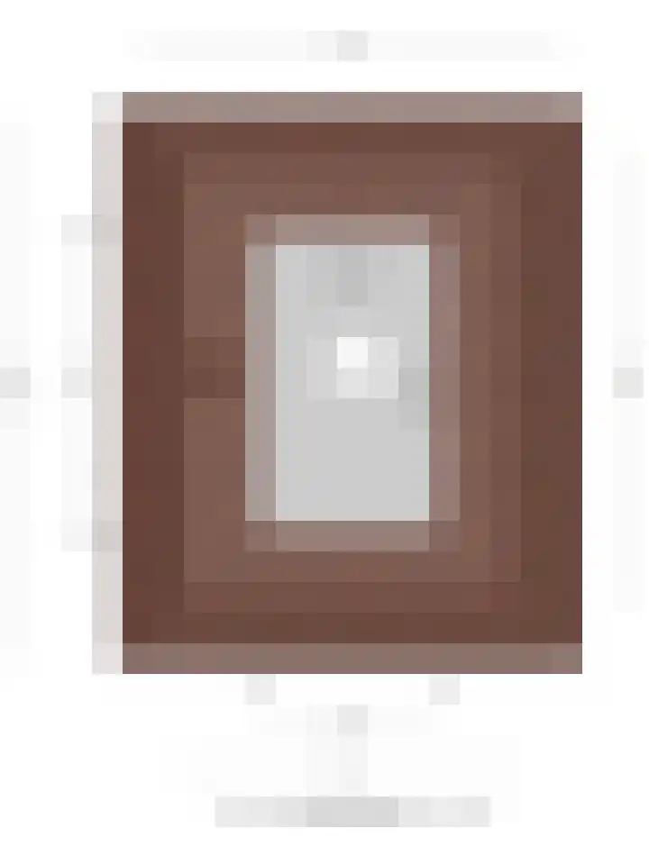 Janseniuslaan 4 Hulst thumbnail 32