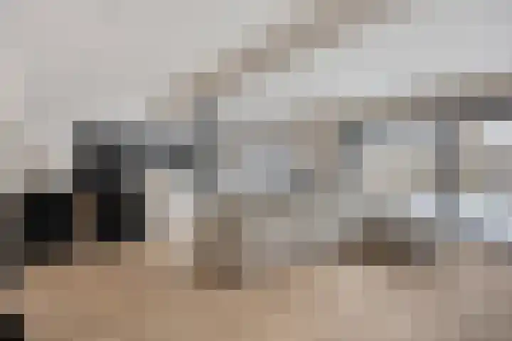Janseniuslaan 4 Hulst thumbnail 7
