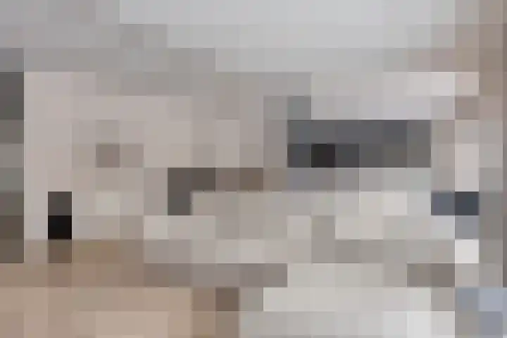 Janseniuslaan 4 Hulst thumbnail 8