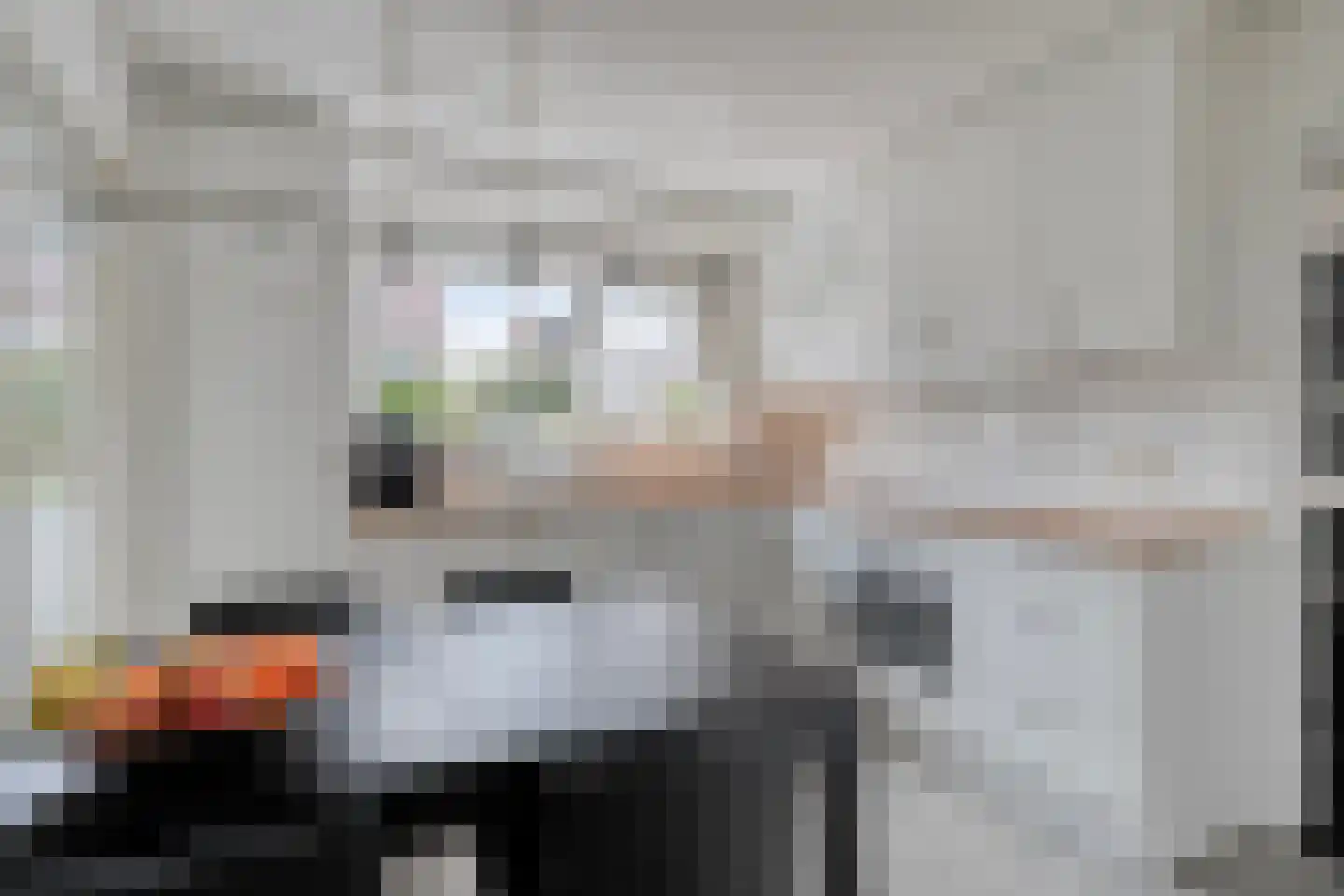 Janseniuslaan 83 Hulst thumbnail 20