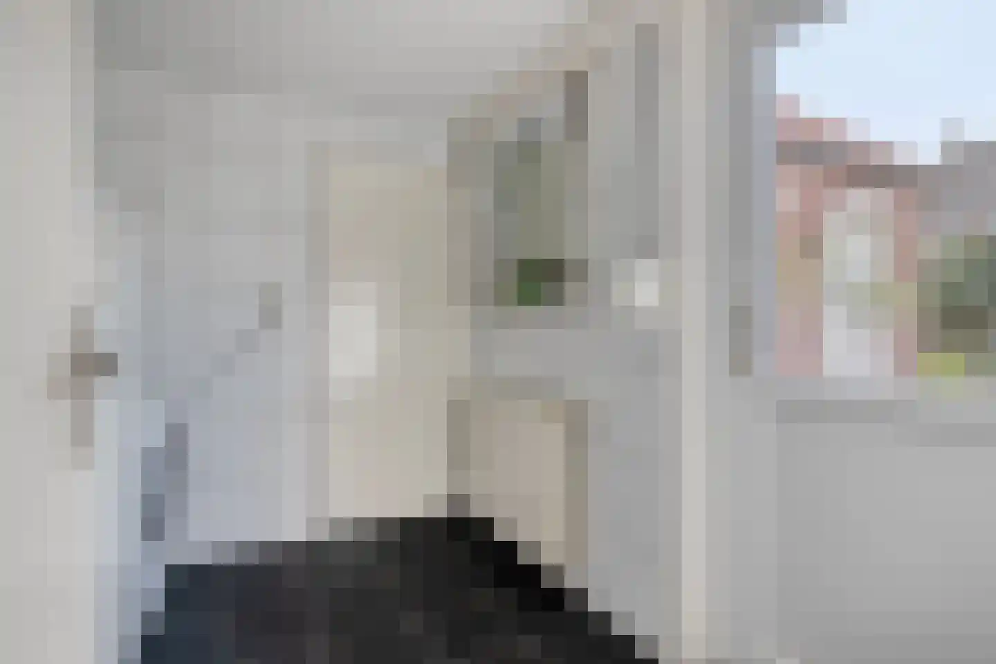 Janseniuslaan 83 Hulst thumbnail 23