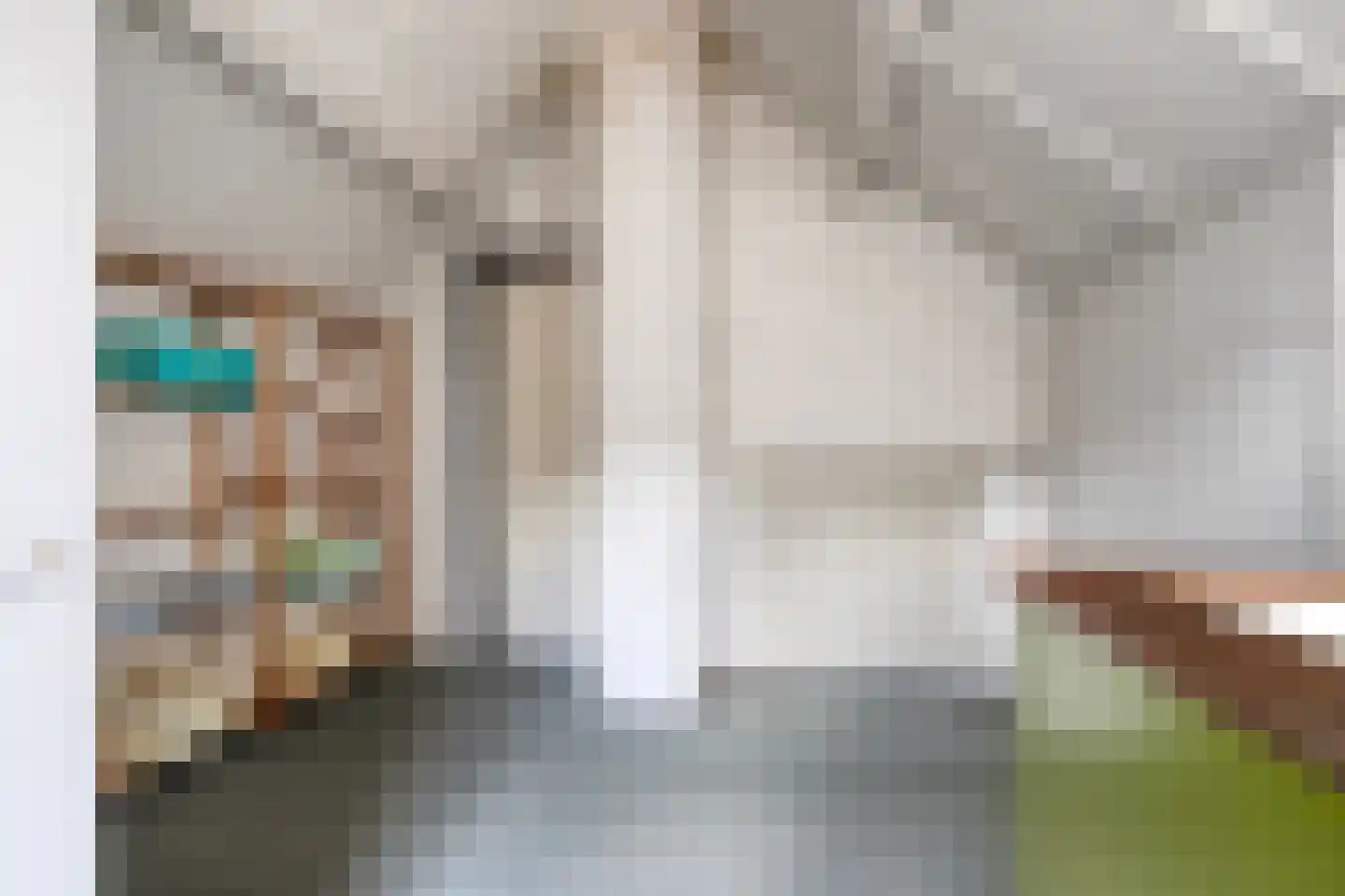 Janseniuslaan 83 Hulst thumbnail 34