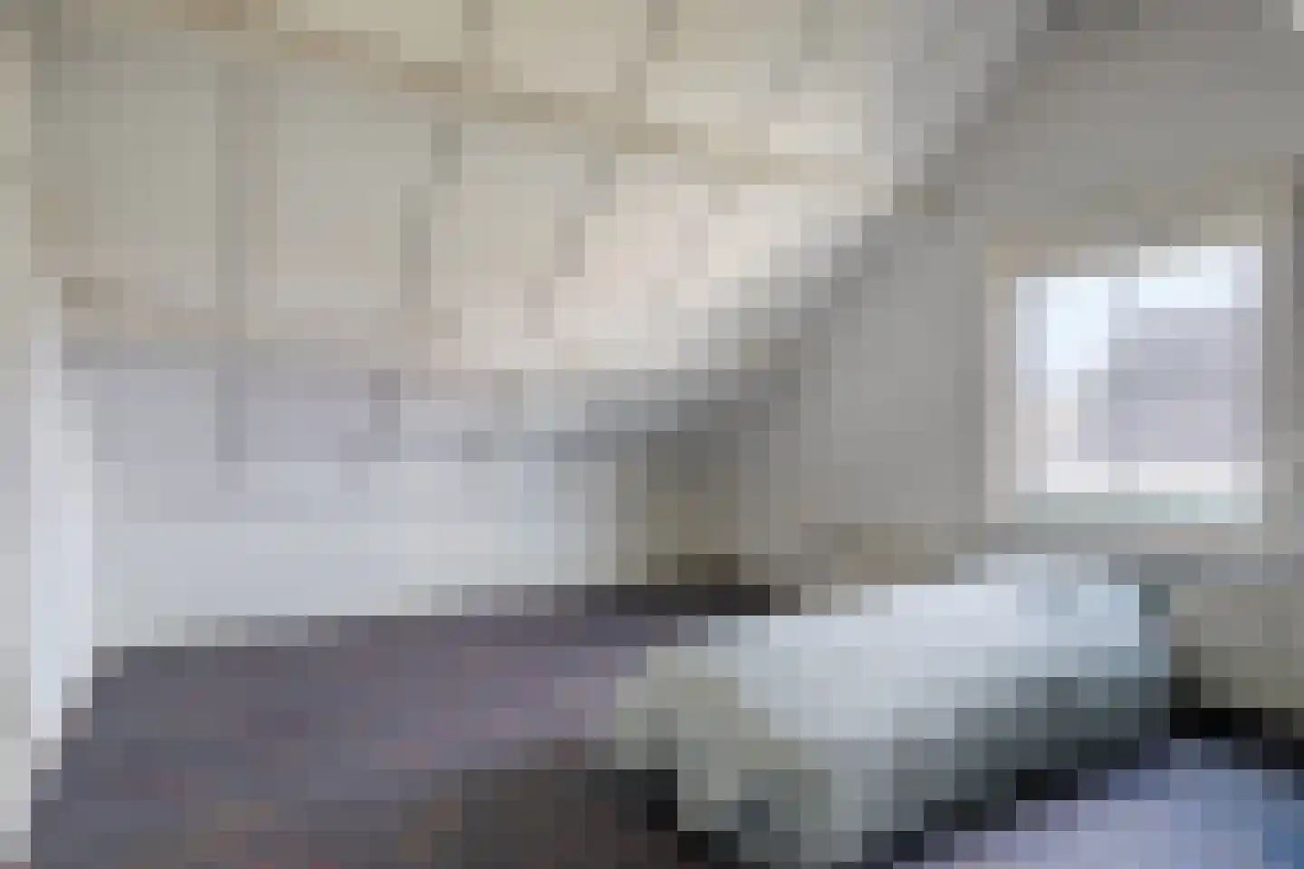 Janseniuslaan 83 Hulst thumbnail 35