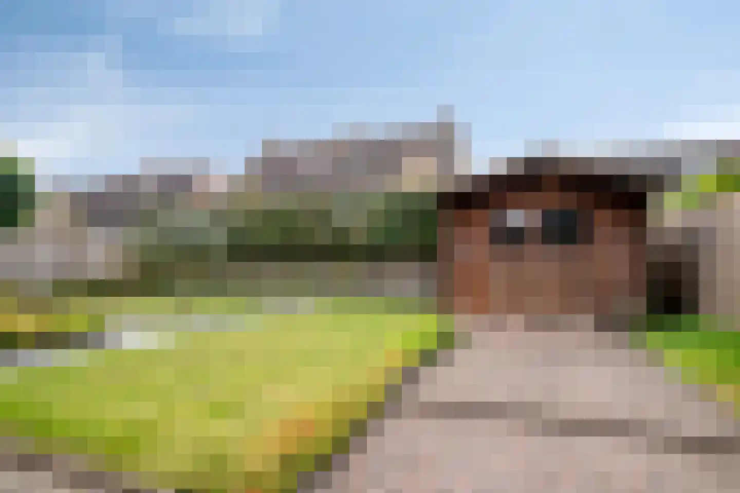 Janseniuslaan 83 Hulst thumbnail 41