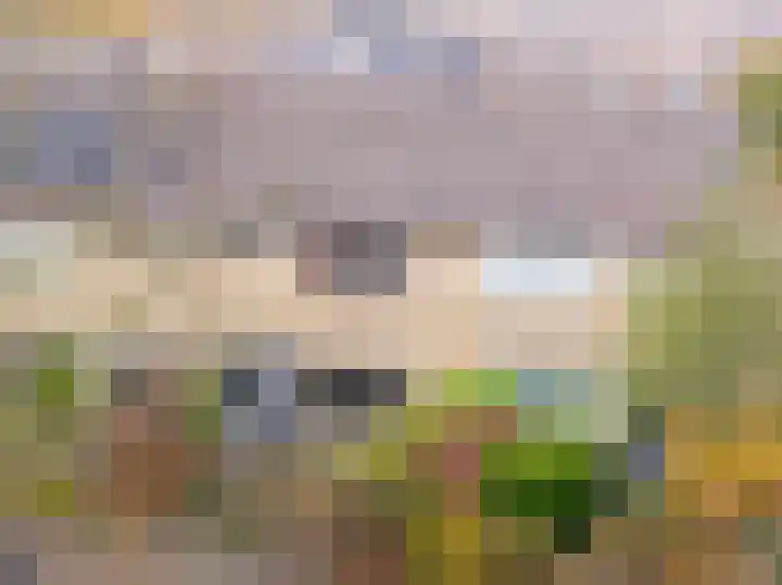 Jansoniusstraat 36 Drachten thumbnail 7