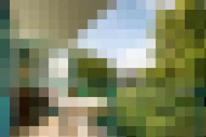 Logo van Janssen Steijlen Meurkens