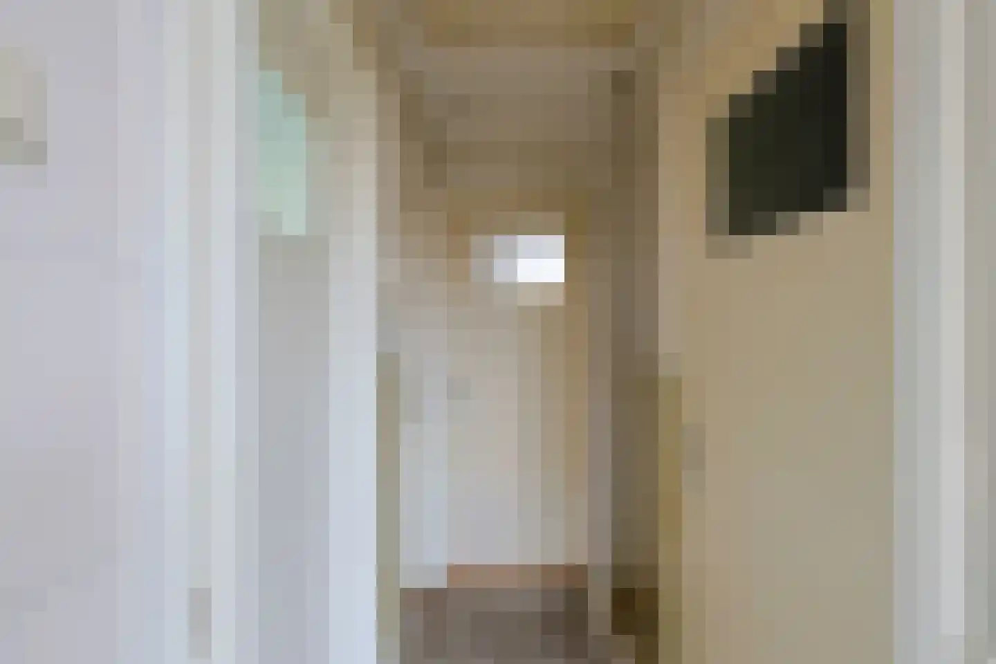 Janssensstraat 4 Geleen thumbnail 16
