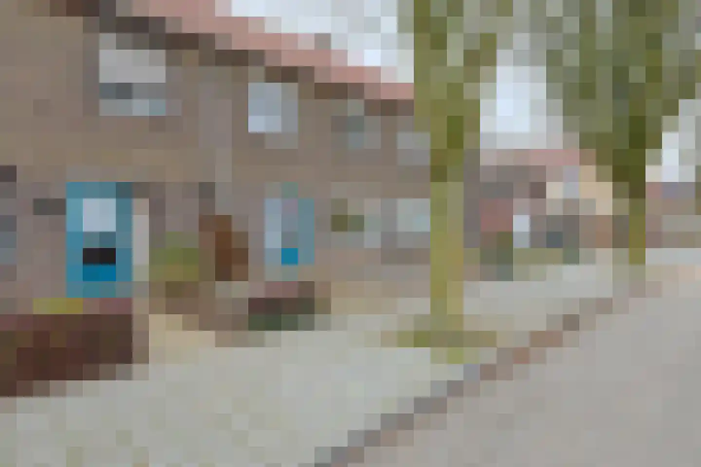 Janssensstraat 4 Geleen thumbnail 6