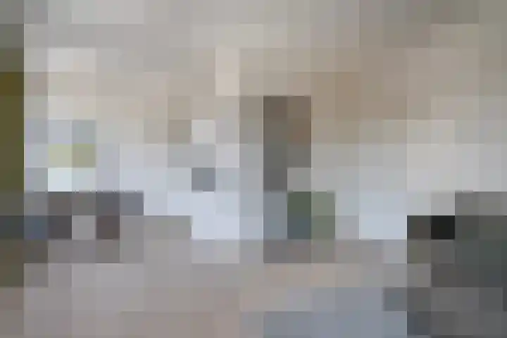 Jansveld 3 B Utrecht thumbnail 11