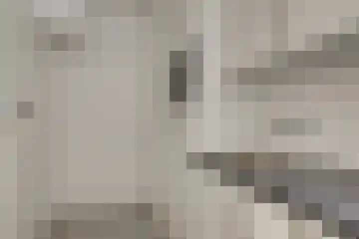 Janvossensteeg 3 A Leiden thumbnail 14