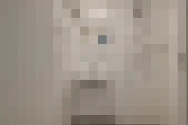 Janvossensteeg 3 A Leiden thumbnail 17