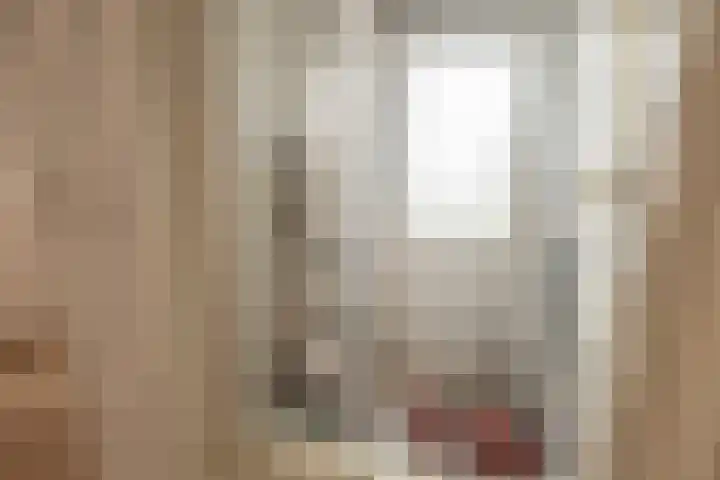 Janvossensteeg 3 A Leiden thumbnail 19