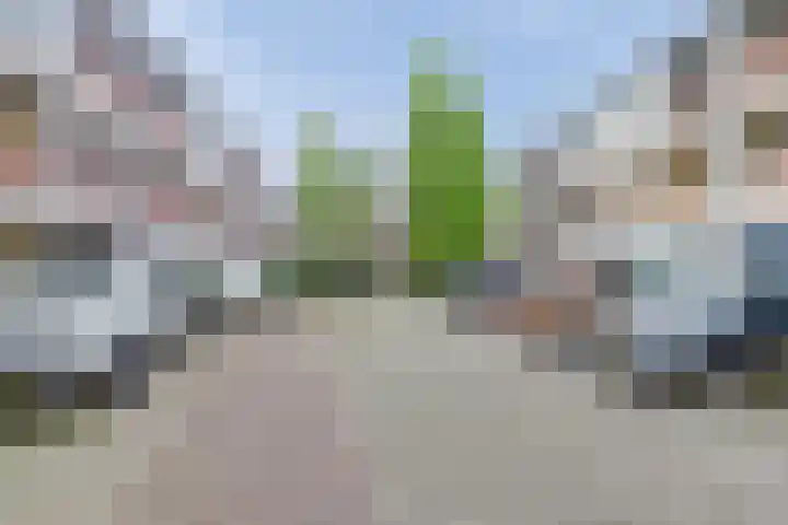 Japieserf 16 Gouda