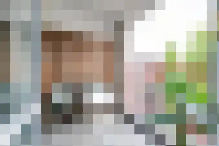 Japieserf 16 Gouda thumbnail 13