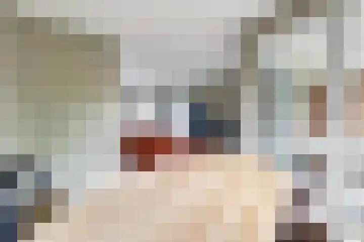 Japieserf 16 Gouda thumbnail 18