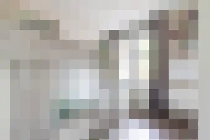 Japieserf 16 Gouda thumbnail 23