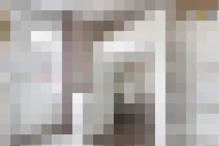 Japieserf 16 Gouda thumbnail 24