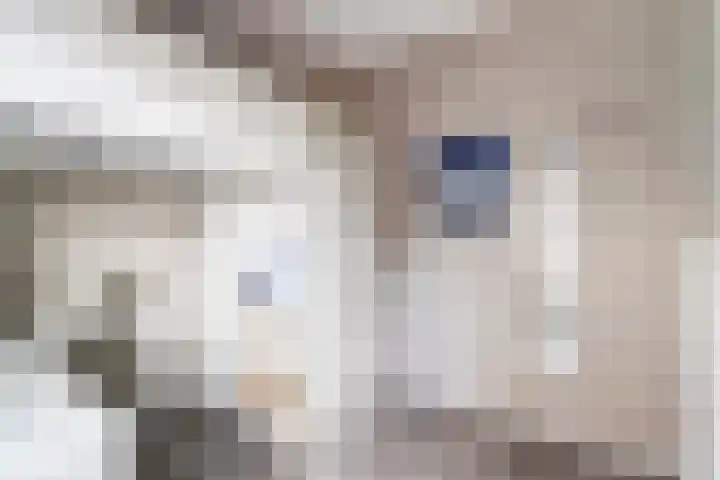 Japieserf 16 Gouda thumbnail 25