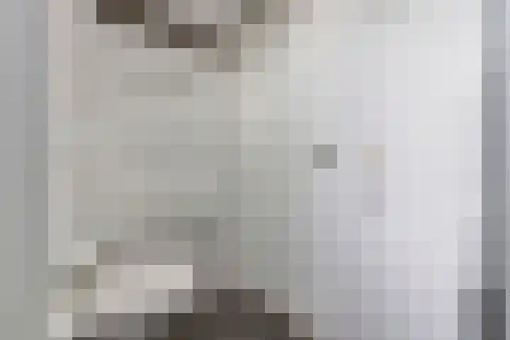 Japieserf 16 Gouda thumbnail 28