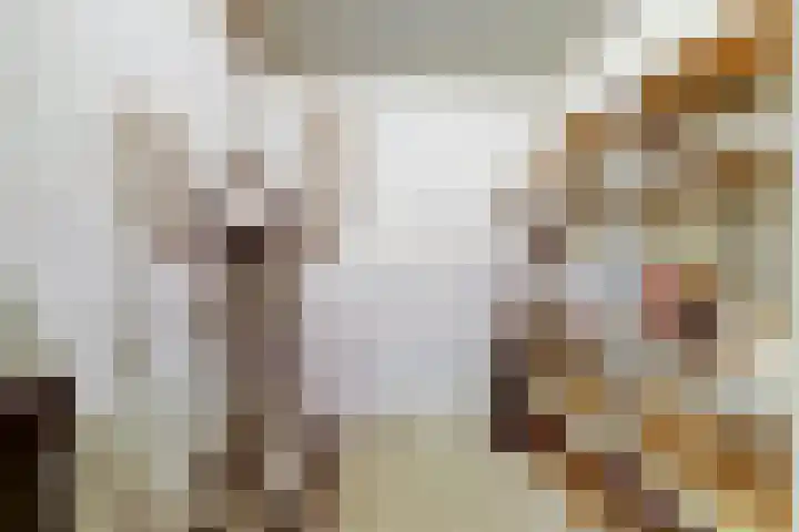 Japieserf 16 Gouda thumbnail 32