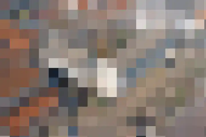 Japieserf 16 Gouda thumbnail 36
