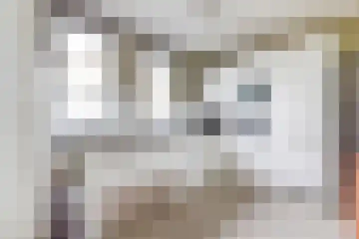 Japieserf 16 Gouda thumbnail 4