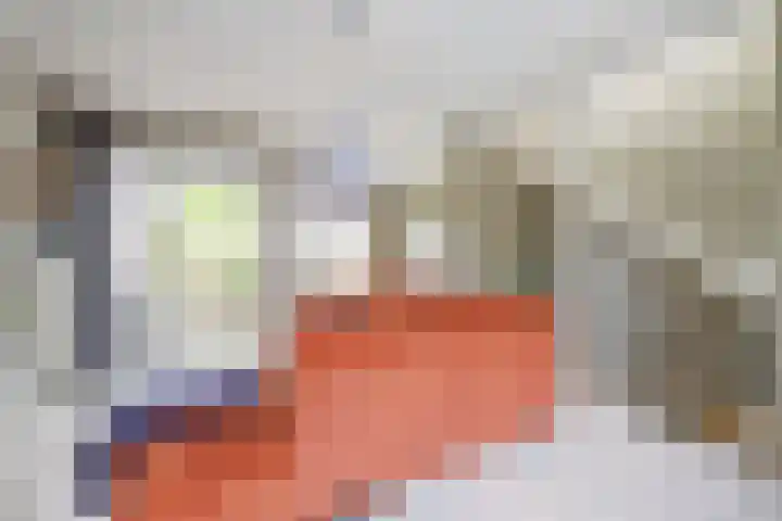 Japieserf 16 Gouda thumbnail 7