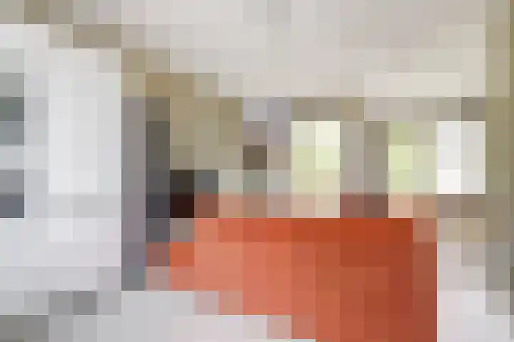 Japieserf 16 Gouda thumbnail 8