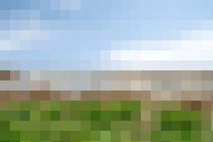 Jarenweg 3 Almere thumbnail 38
