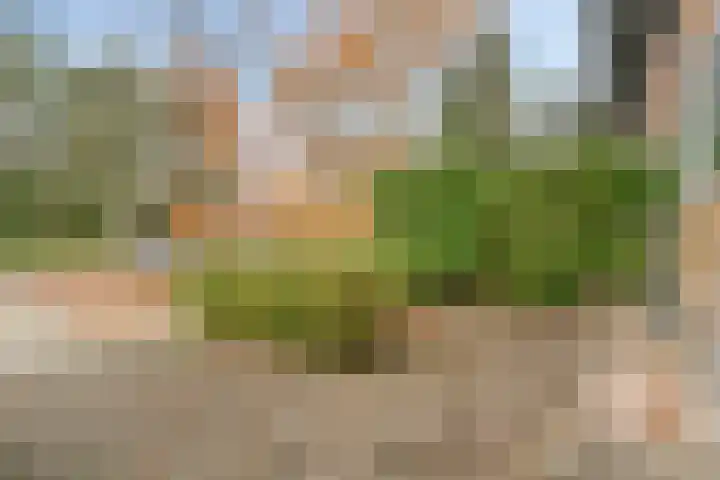 Jarenweg 3 Almere thumbnail 7