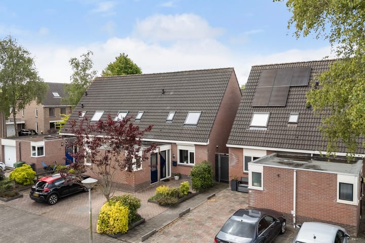 Jarigsmastins 20 in Leeuwarden foto