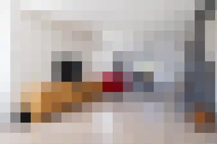 Jasappel 2 St.-Annaparochie thumbnail 20