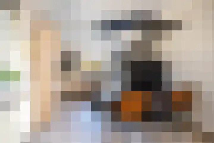 Jasappel 2 St.-Annaparochie thumbnail 29