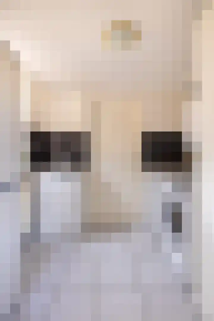 Jasappel 2 St.-Annaparochie thumbnail 34
