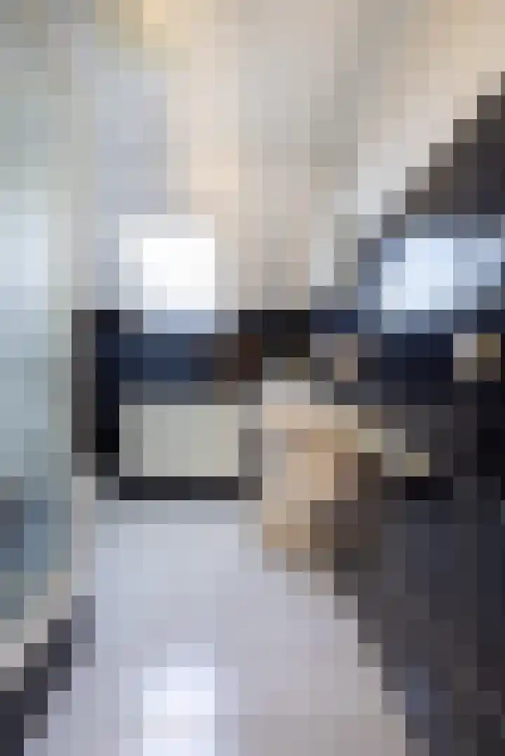 Jasappel 2 St.-Annaparochie thumbnail 44