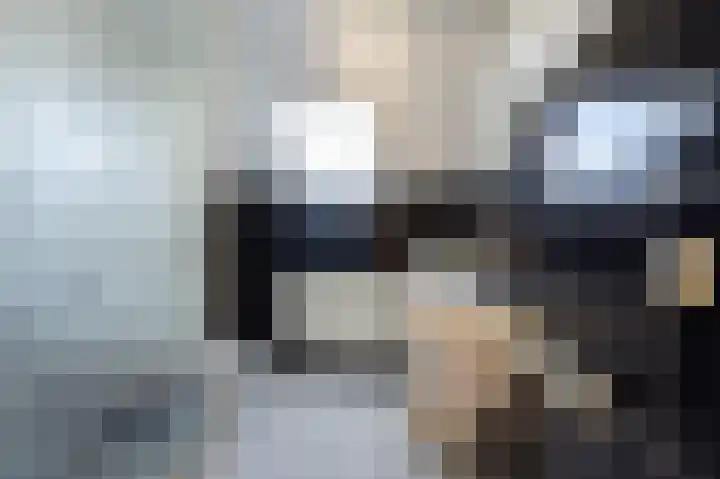 Jasappel 2 St.-Annaparochie thumbnail 45