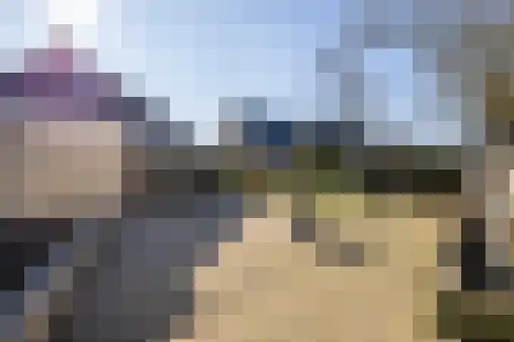 Jasappel 2 St.-Annaparochie thumbnail 55