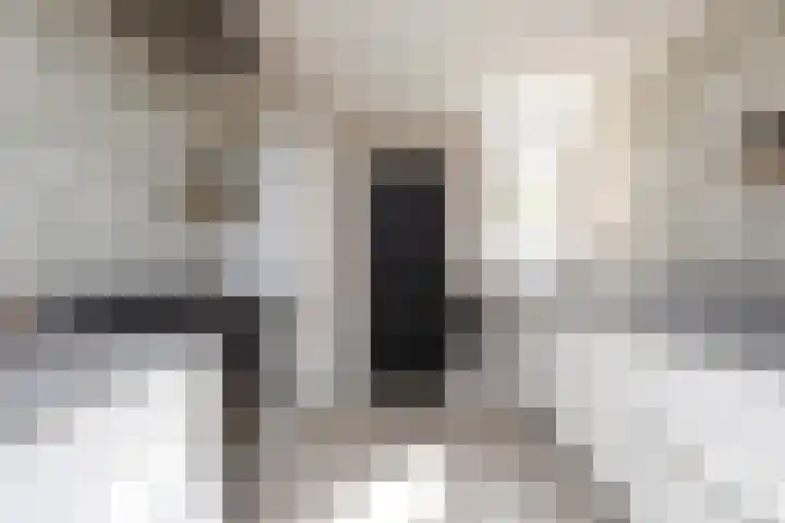 Jasker 22 Sneek thumbnail 10