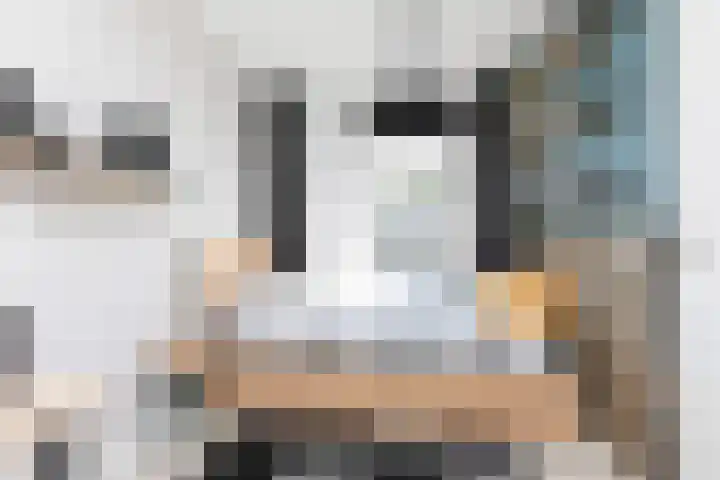 Jasker 22 Sneek thumbnail 19