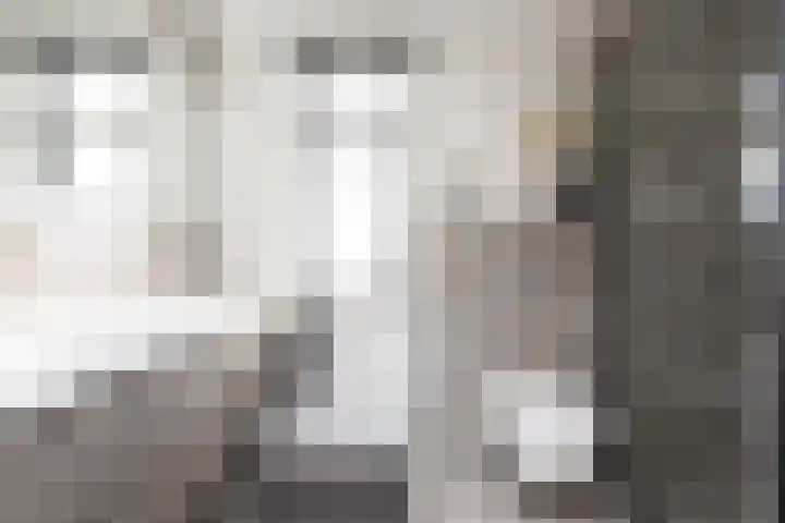 Jasker 22 Sneek thumbnail 21