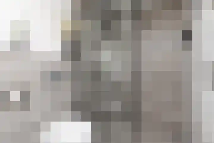 Jasker 22 Sneek thumbnail 22