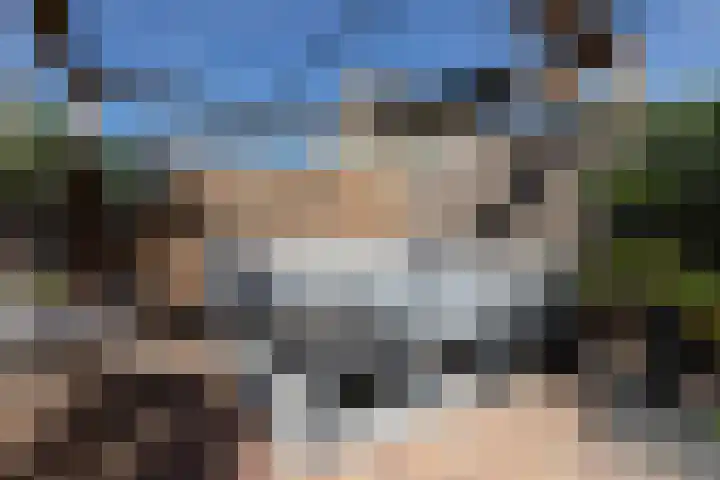 Jasker 22 Sneek thumbnail 35