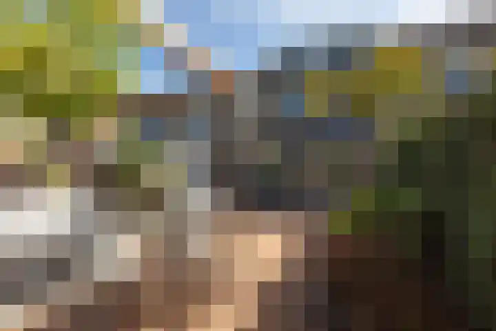 Jasker 22 Sneek thumbnail 36