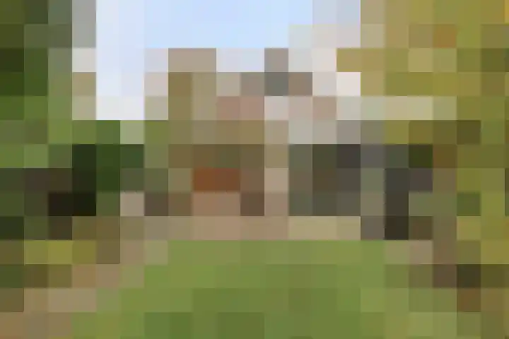 Jasker 22 Sneek thumbnail 40