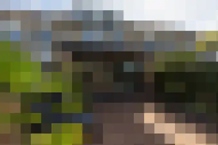 Jasker 22 Sneek thumbnail 41