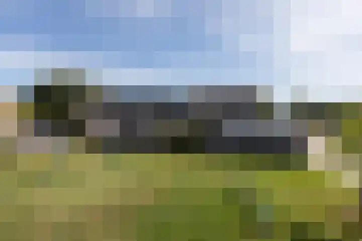 Jasker 22 Sneek thumbnail 42