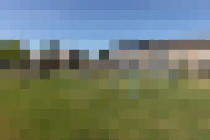Jasker 22 Sneek thumbnail 43